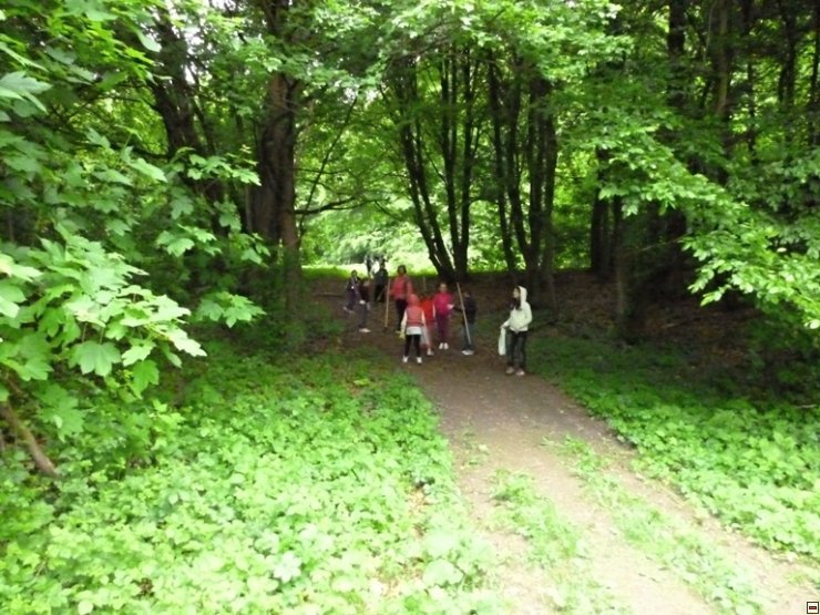 img00004.jpg