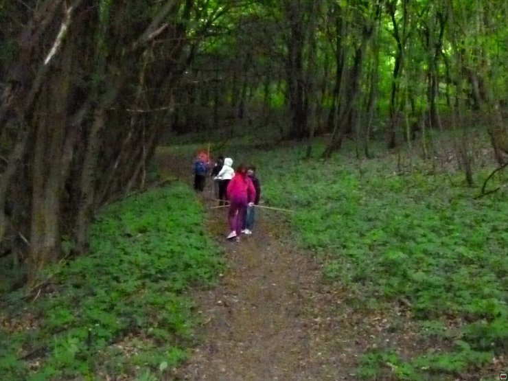 img00006.jpg