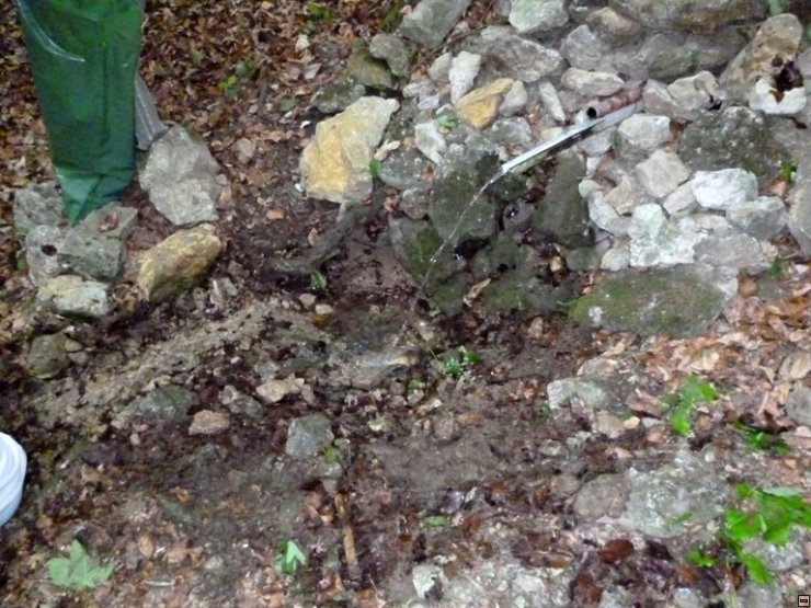 img00012.jpg