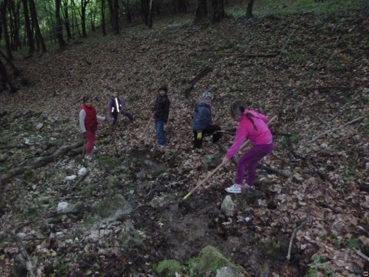 img00019.jpg