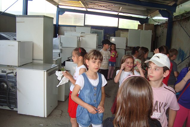 img00005.jpg