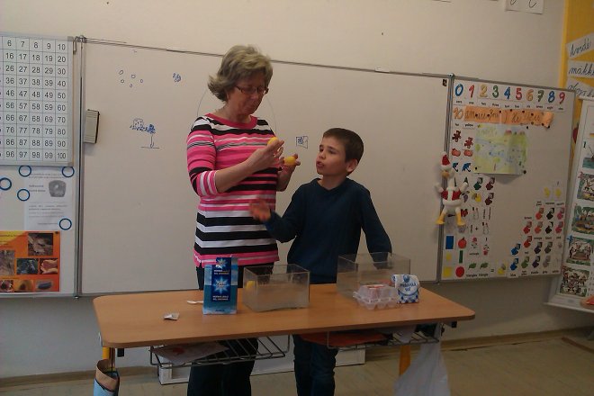 img00004.jpg