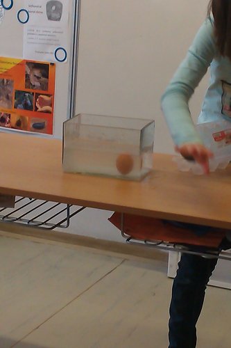 img00019.jpg