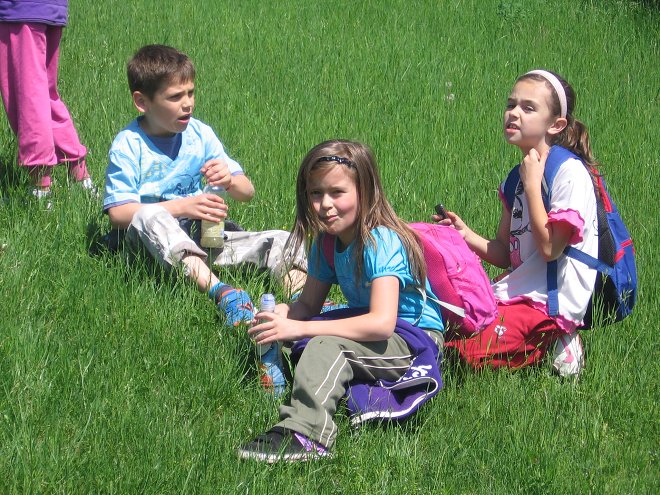 img00006.jpg