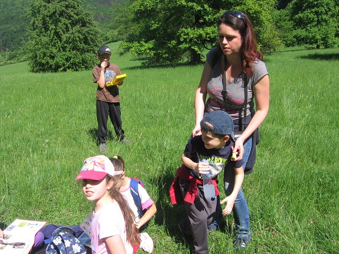 img00019.jpg