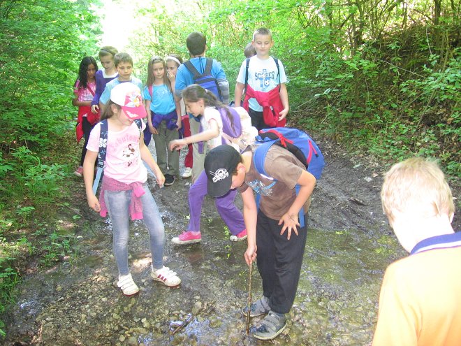 img00022.jpg