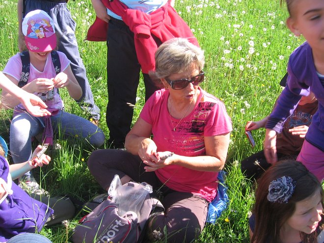img00030.jpg