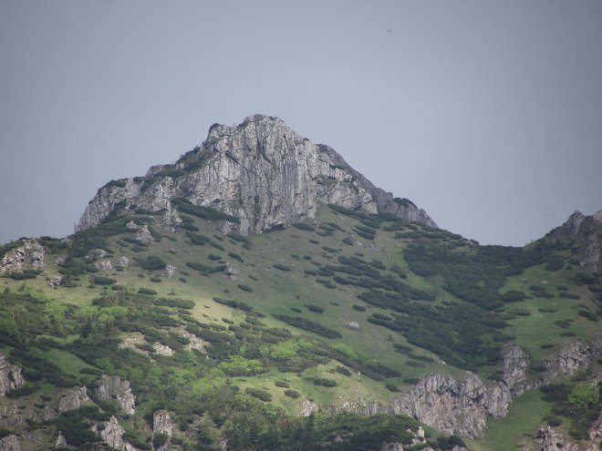 img00050.jpg